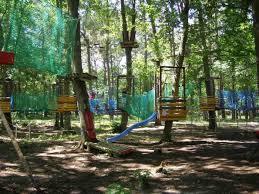Park Linowy